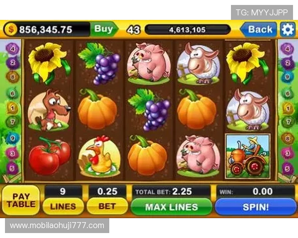 老虎机平台官网多样化的游戏类型，满足不同玩家的娱乐需求和偏好